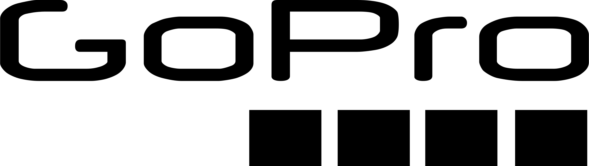 GoPro
